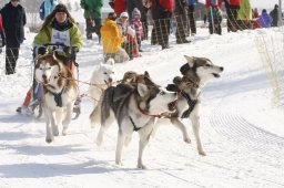 Lenk 2012 SM